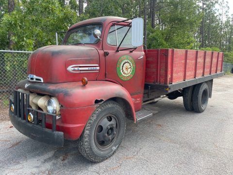 1951 Ford F6 for sale