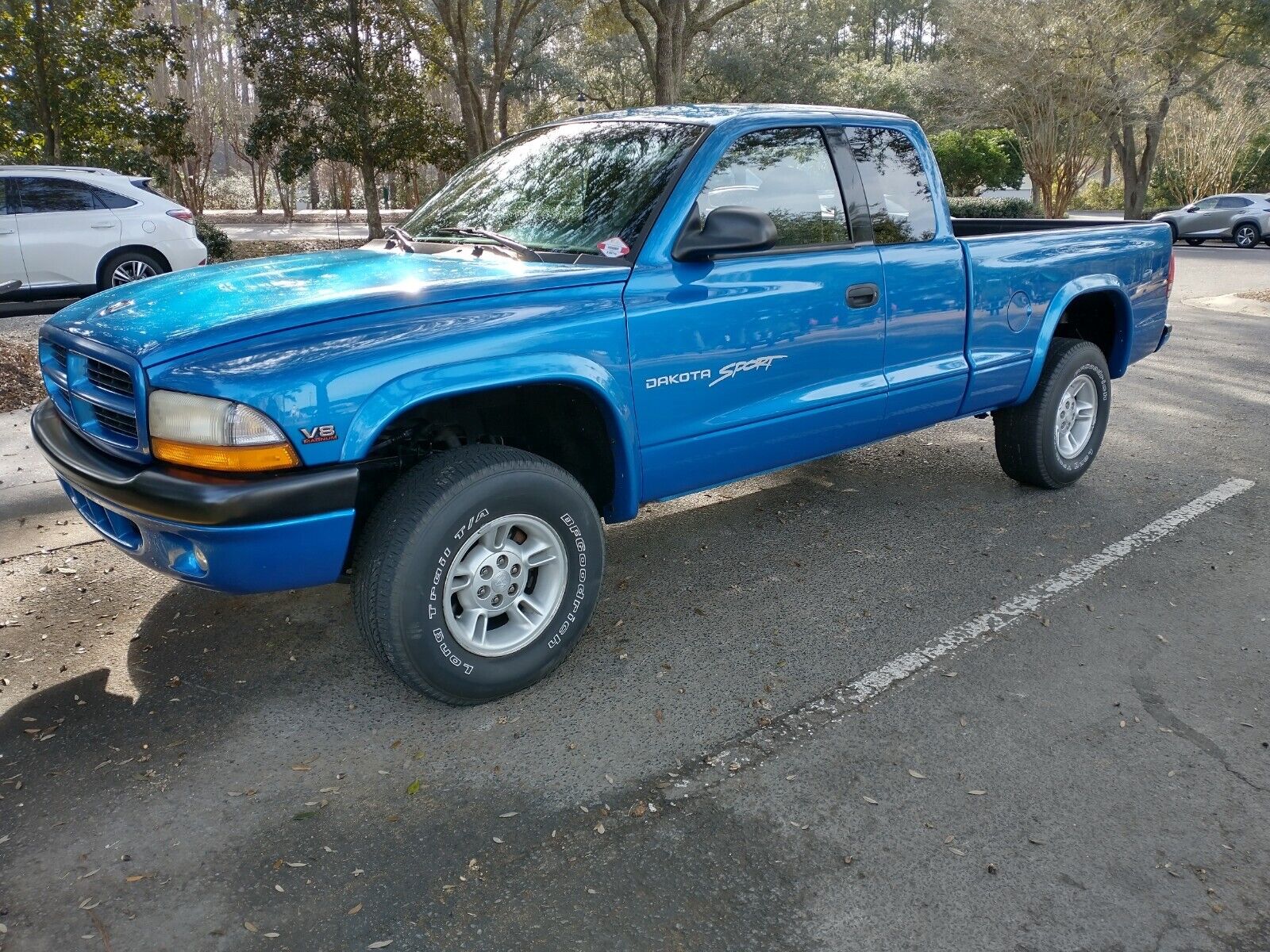 1999 Dodge Dakota for sale