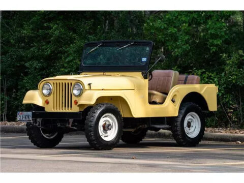 1966 Jeep CJ5 for sale