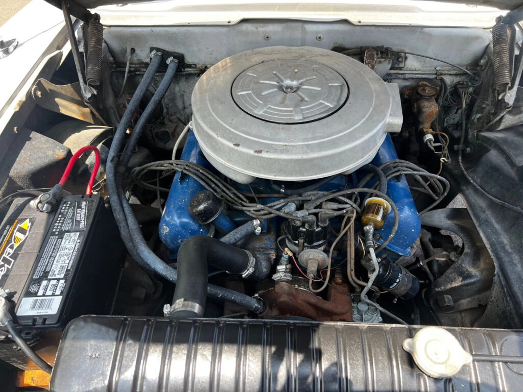 1959 Edsel Villager