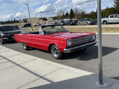 1966 Plymouth Belvedere for sale